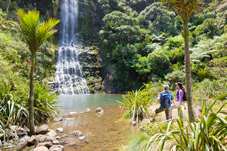 Auckland All Inclusive Tour Full Day